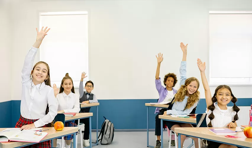 School Uniforms & Class Shirts